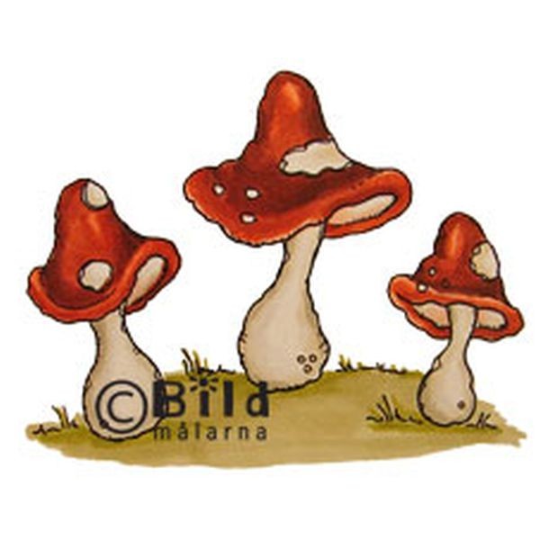 Bildmalarna Mushrooms