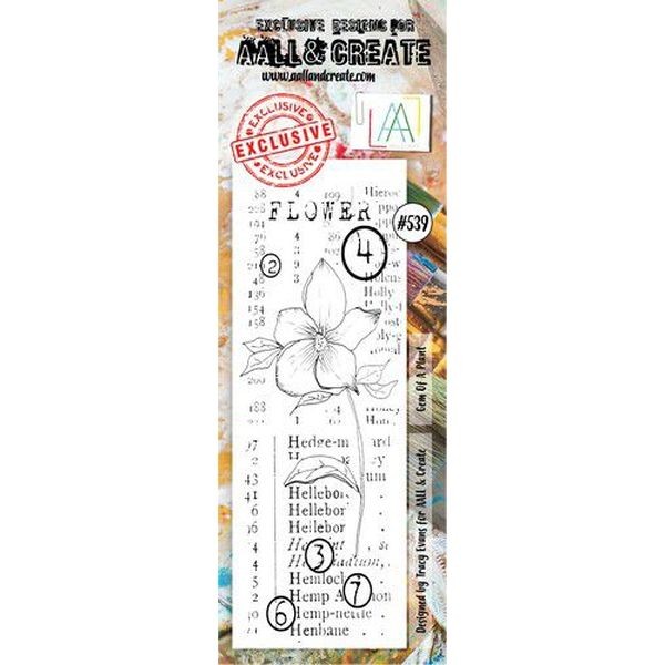 AALL & Create Border Clearstamps No. 539 Gem of Plant